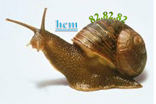 ốc.PNG