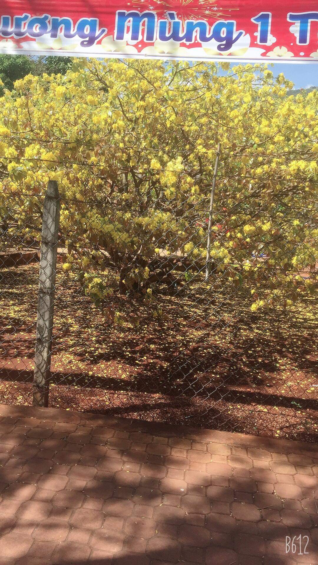 received_181594136376769.jpeg