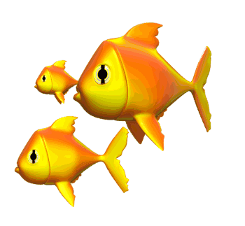 school_of_goldfish_ha.gif