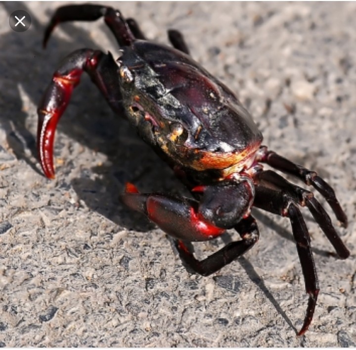 Screenshot_20190629-111052_Google.jpg
