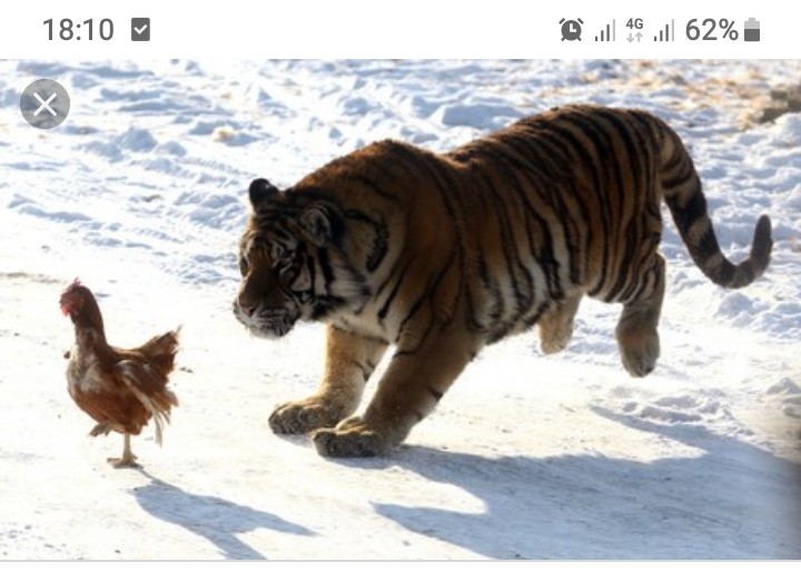 Screenshot_20190629-181059_Google.jpg