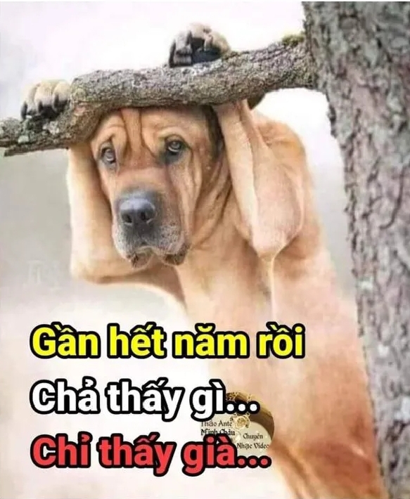 Screenshot_20220106-093730_Facebook.jpg