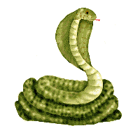 Snake Gif (16).gif