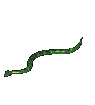 Snake Gif (9).gif