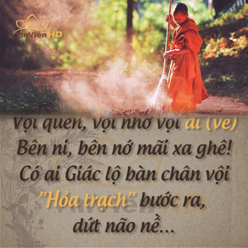 song-voi-thich-tanh-tue-552807.jpg