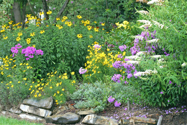 SummerGarden2[1].jpg