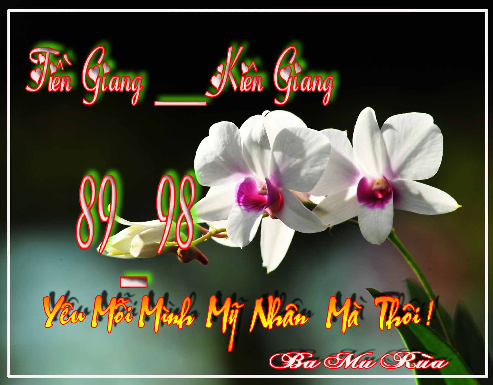 tien giang.jpg