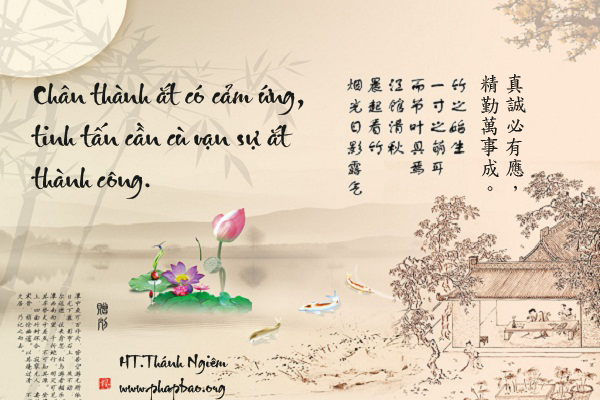 Trí huệ cuộc đời 1-11.jpg
