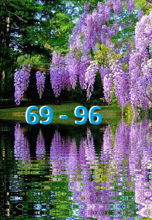 upload_2022-5-22_15-30-7.gif