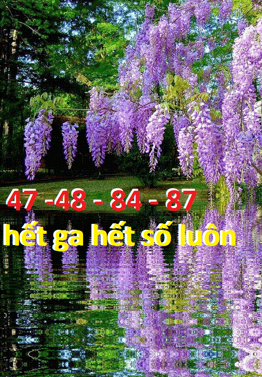 upload_2022-5-22_17-55-46.gif