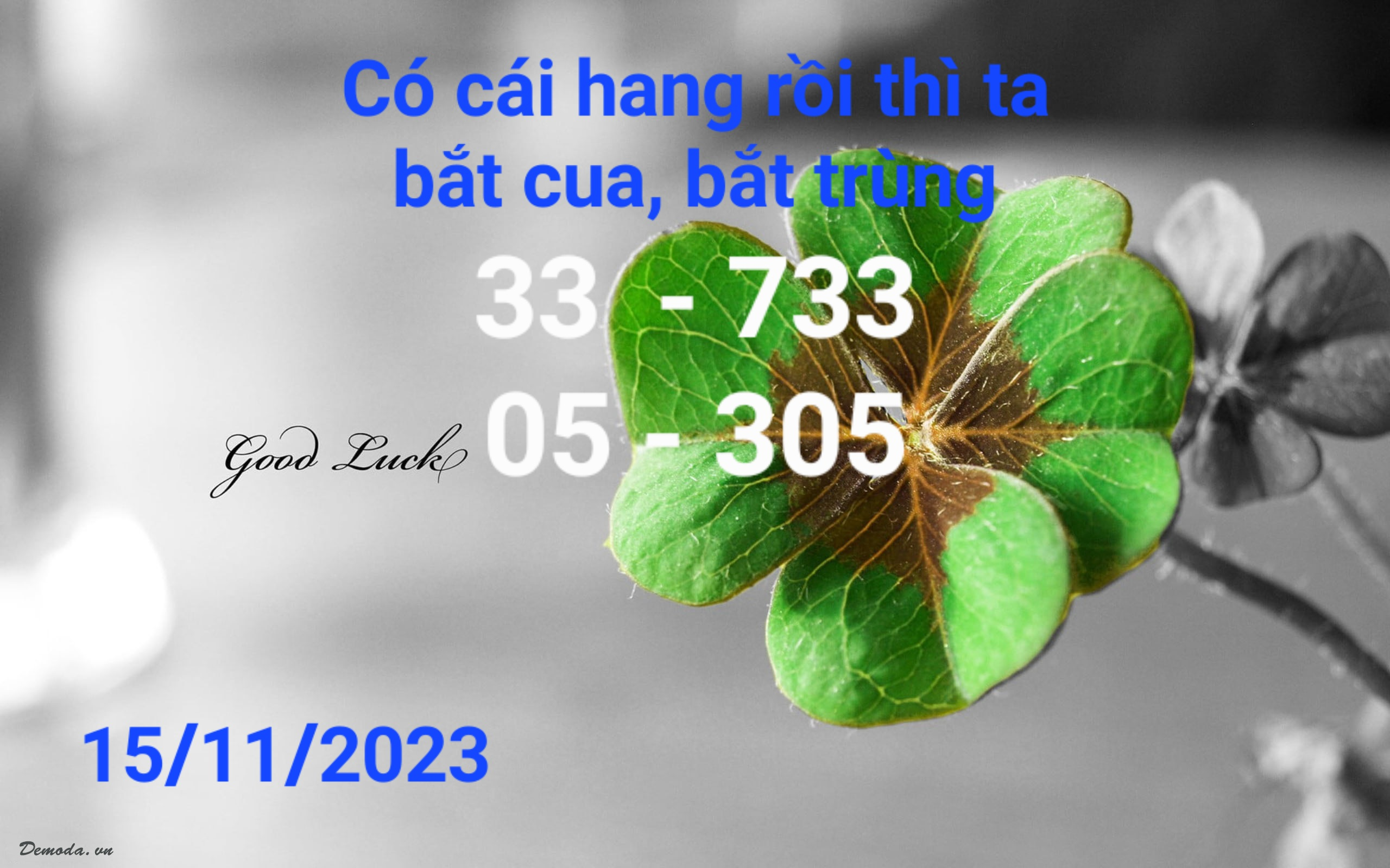 upload_2023-11-14_21-35-10.png