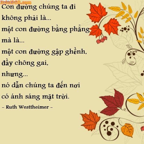 y-nghia-cuoc-song-13.jpg