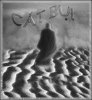 CAT BUI 1.jpg