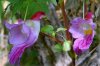 IMG_6281.JPG