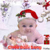 IMG_8660.GIF
