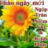 IMG_20171104_094028.jpg
