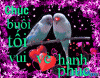 IMG_8943.GIF