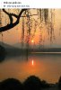 IMG_8963.JPG
