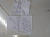 IMG20180701174328.jpg