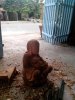 IMG_20131009_103214.jpg