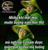 FB_IMG_1539055008919.jpg