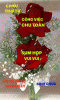 IMG_3204.GIF