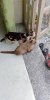 IMG20181226074630.jpg