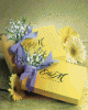 IMG_4982.GIF