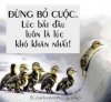 FB_IMG_1561915799528.jpg