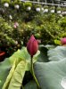 IMG_20220415_092330.jpg