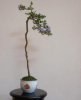 DSC07089.jpg