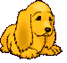 4c8b89a6e5bce11092010.gif