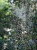 upload_2023-8-6_20-44-19.png