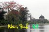 NamDinh.jpg