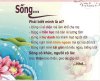 anh-hai-huoc2273.jpg