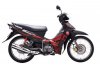 sirius_red_ltd.jpg