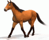 ngua.gif