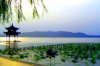 ve-may-bay-ha-noi-da-nang-03.jpg