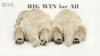 animals-hd-6.jpg