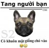 FB_IMG_1470135194026.jpg