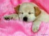 upload_2016-9-11_17-15-16.jpeg
