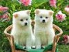 upload_2016-9-11_17-15-34.jpeg