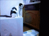 October-30-2011-00-28-45-tumblrltudfff22h1qb6t6wo1400.gif