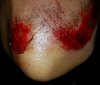 20170107_165102.jpg