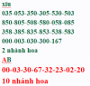 MB.png
