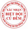 Cú dem.jpg