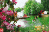 image.gif