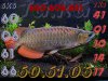 Ca rong Panda Wild blue.jpg