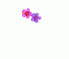 3.gif