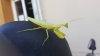 20171004_130748.jpg